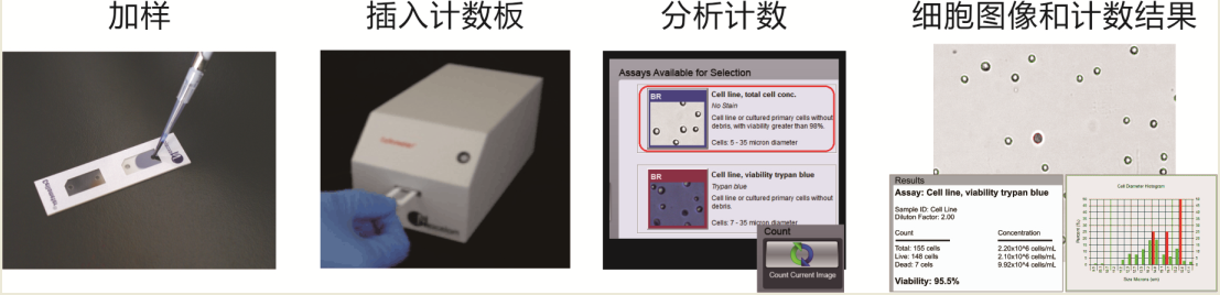 Mini protocol.png Mini protocol.png